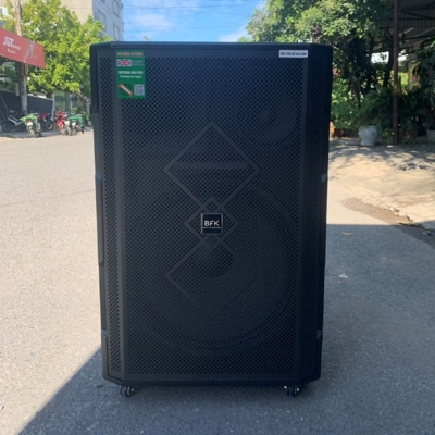 Loa kéo bass 30 BFK  ( LK 30-50)